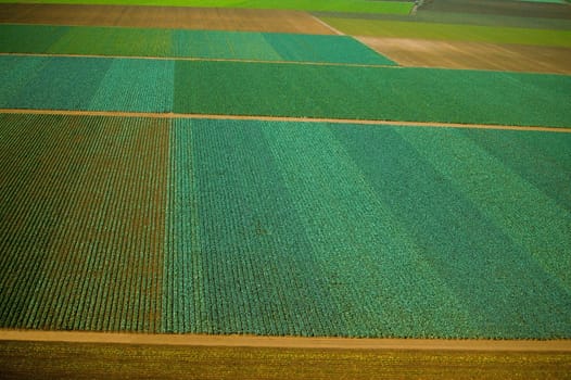 Aerial of farm fields
