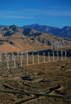 Wind farm turbines, Whitewater, California