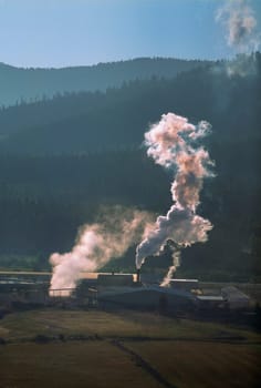 Large commercial sawmill, Idaho, USA