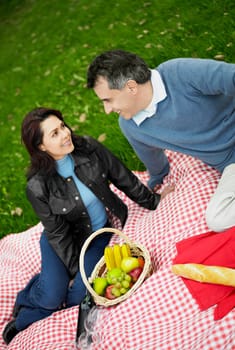 High angle view of a mid adult couple sitting on a picnic blanket and smiling