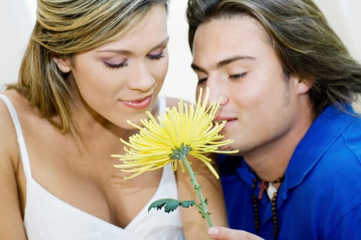Close-up of a young couple smelling a flower