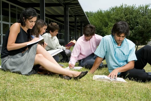 Five university students sitting in a lawn and studying