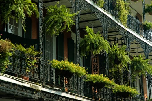 Low angle view of hanging baskets on a building, New Orleans, Louisiana, USA