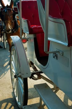 Close-up of a horse cart, New Orleans, Louisiana, USA