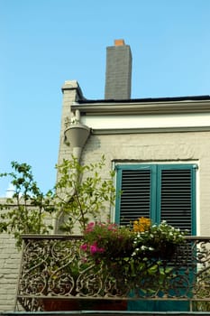 Low angle view of plants on the balcony of a building, New Orleans, Louisiana, USA