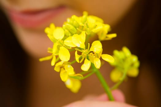 Close-up of a young woman holding flowers