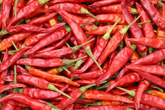 Dried red chili pepper plants, texture background