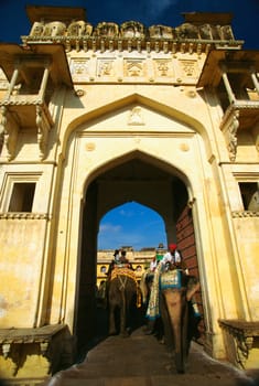 Tourists sitting on elephants passing through a city gate, Jaipur, Rajasthan, India