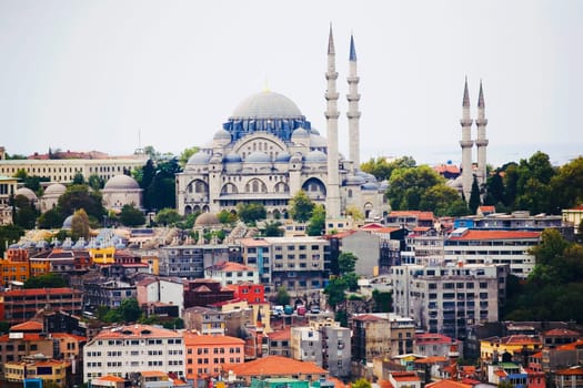 Buildings near a mosque, Blue Mosque, Istanbul, Turkey