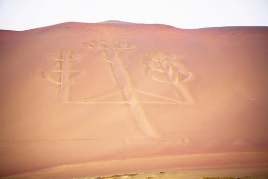 Paracas