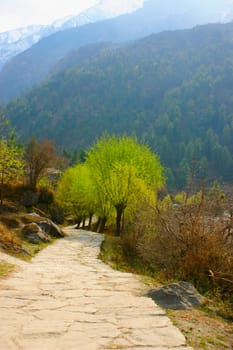 Walkway leading to mountains, Annapurna Range, Himalayas, Nepal