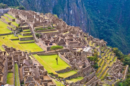 Macchupicchu