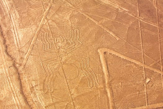 Aerial view of Nazca lines representing a spider, Nazca, Peru
