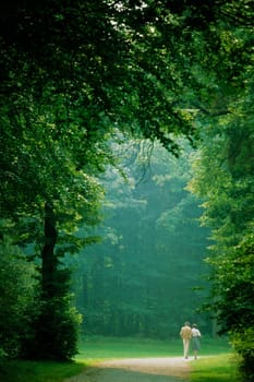 Rear view of two people walking in a park, Munich, Germany