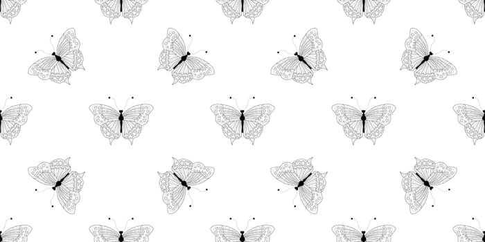 Abstract modern butterfly style for wallpaper design. Trendy japanese banner with black modern butterfly style
