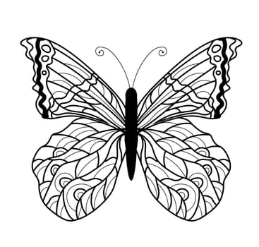 Butterfly coloring book. Linear drawing of a butterfly.