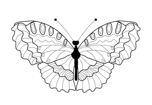 Butterfly coloring book. Linear drawing of a butterfly.