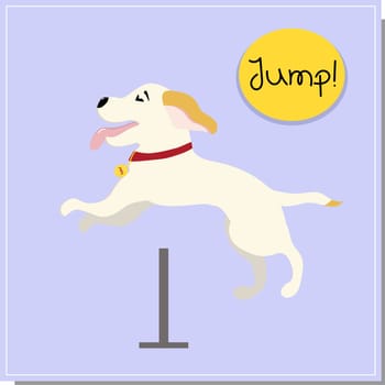 DOG training, command barrier. Beautiful dog training, great design for any purpose. Colleagues work together. Beautiful illustration with training a red dog. Vector background. Illustration icon. Sports background.