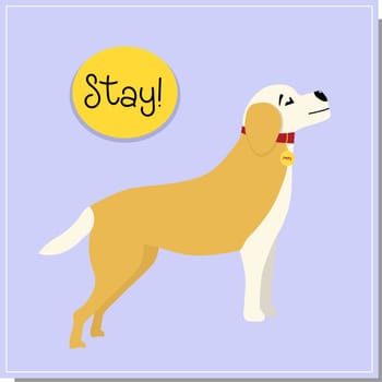 DOG training, command to stand. Beautiful dog training, great design for any purpose. Colleagues work together
