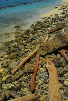 High angle view of moss covered rocks on the beach, San Andres, Providencia y Santa Catalina, San Andres y Providencia Department, Colombia