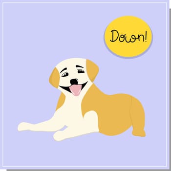 DOG training, command to lie down. Beautiful dog training, great design for any purpose. Colleagues work together