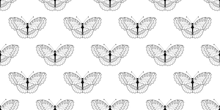 Abstract modern butterfly style for wallpaper design. Trendy japanese banner with black modern butterfly style