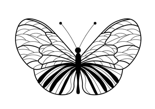 Butterfly coloring book. Linear drawing of a butterfly.