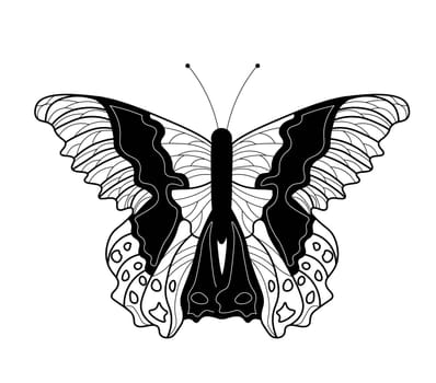 Butterfly coloring book. Linear drawing of a butterfly.