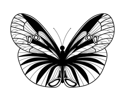 Butterfly coloring book. Linear drawing of a butterfly.