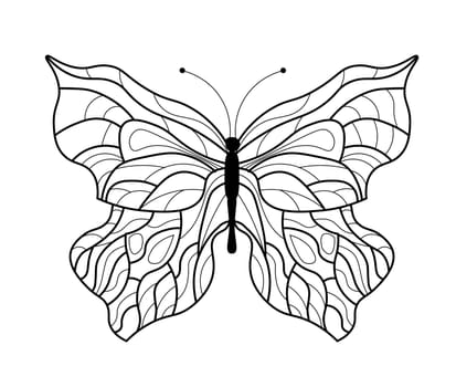 Butterfly coloring book. Linear drawing of a butterfly.