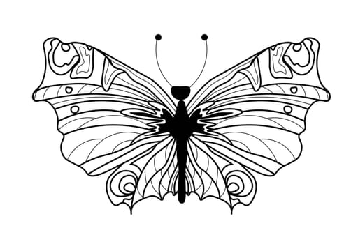Butterfly coloring book. Linear drawing of a butterfly.