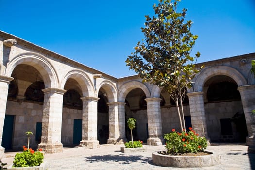Low angle view of a tree in the courtyard of a building, Santa Catalina Convent, Arequipa, Peru