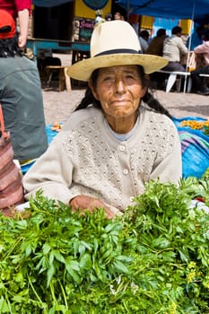 Portrait of a senior woman sitting at a market stall