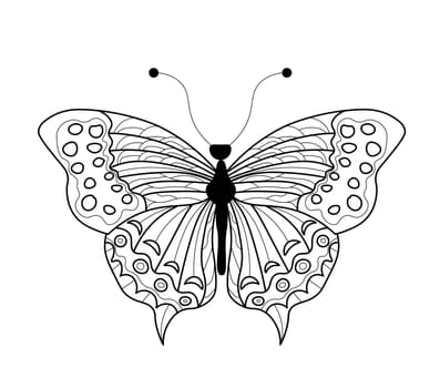 Butterfly coloring book. Linear drawing of a butterfly.