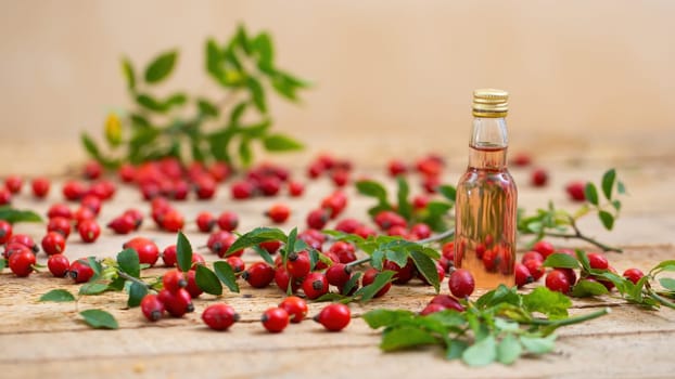 Small bottle of rosehip oil on wooden table horizontal. Liquid from little red berries with fruit and leaves around on the table with copy space.