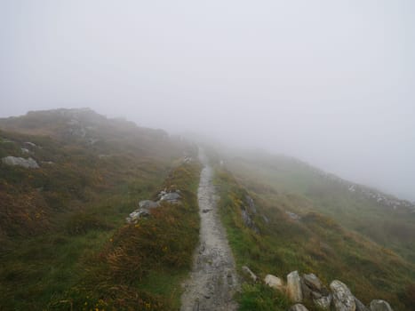 A stony path in the fog leads Ireland into an uncertain future in Europe.