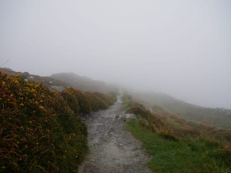 A stony path in the fog leads Ireland into an uncertain future in Europe.