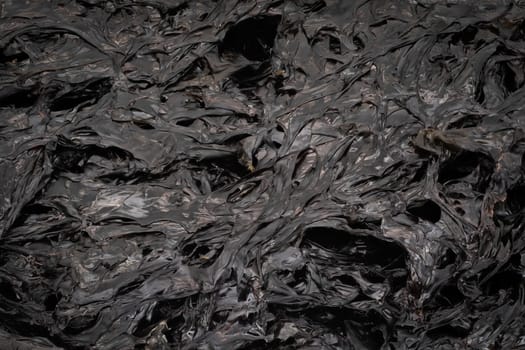 Dried Seaweed, close up and studio shot of asian snack