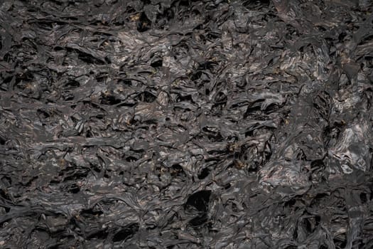 Dried Seaweed, close up and studio shot of asian snack