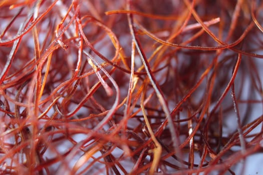 Macro photograph view of saffron with selective focus. Crocus sativus, commonly known as the "saffron crocus"""