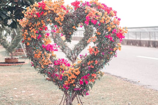 Heart shaped gate decorate with purple pink and green bougainvillea