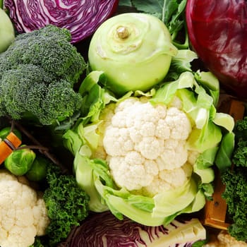 Healthy background of cruciferous vegetables of the Brassica family with cauliflower, broccoli, kohlrabi, cabbage, kale and brussels sprouts