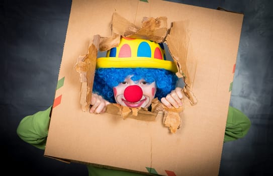 young child dressed as a clown with wig and fake nose has fun watching from the open cardboard
