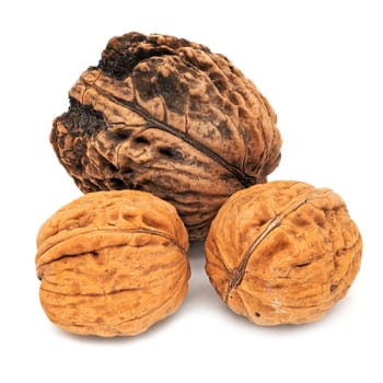 Walnut Close Up, studio shot of fruit on white background