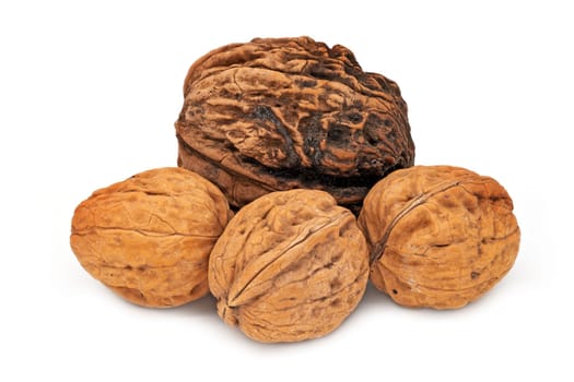 Walnut Close Up, studio shot of fruit on white background