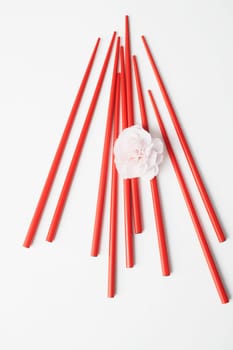 High angle view of a flower with a pair of chopsticks