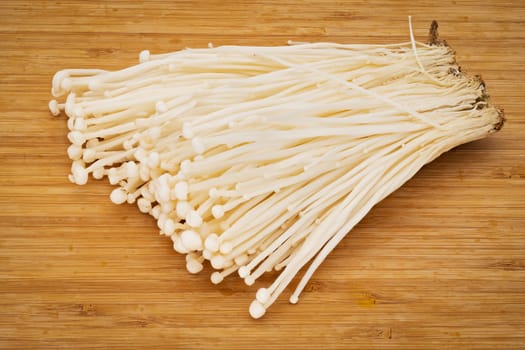 Enoki Mushroom, close up and studio shot of fungus