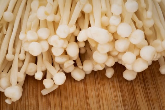 Enoki Mushroom, close up and studio shot of fungus