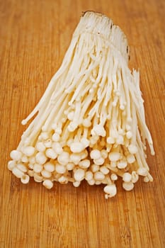 Enoki Mushroom, close up and studio shot of fungus