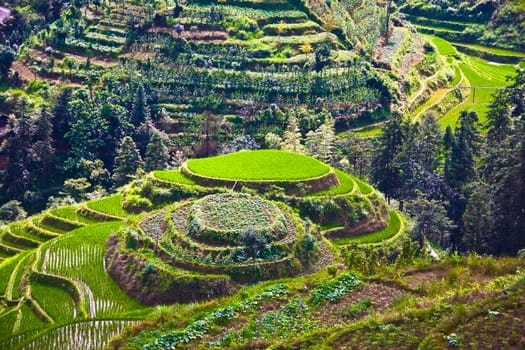 Jinkeng Terraced Field, Guangxi Province, China